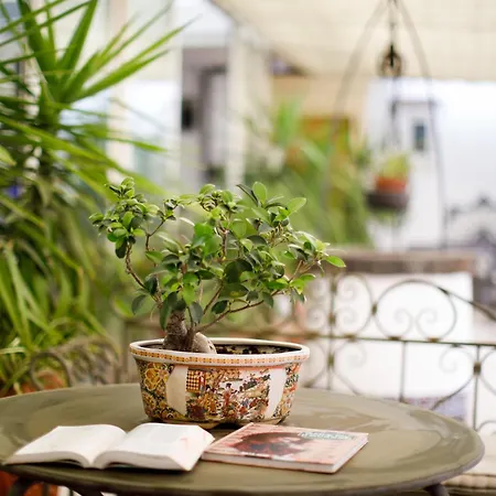 Del Corso Hotel Sorrent