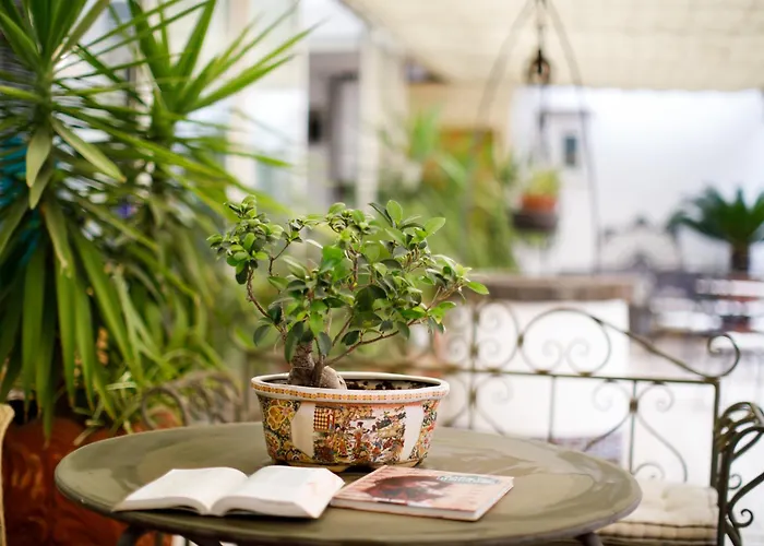 Del Corso Hotel Sorrento